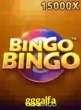 bingobingo